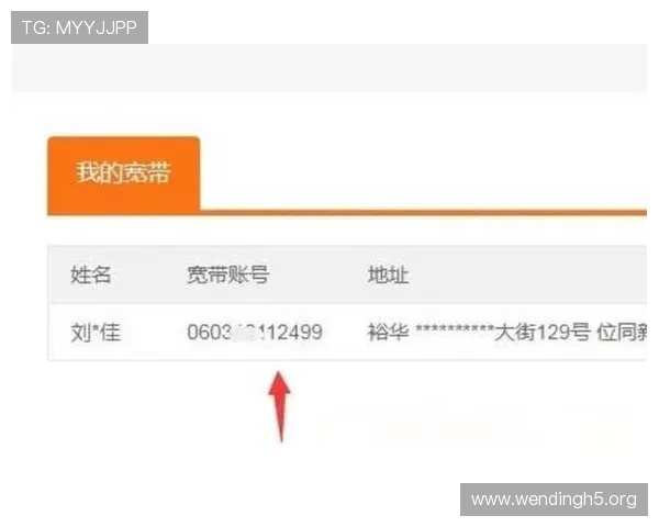 问鼎在线登录官网账号安全保护措施及密码重置方法保障玩家账号安全 问鼎在线登录官网账号安全保护措施及密码重置方法保障玩家账号安全