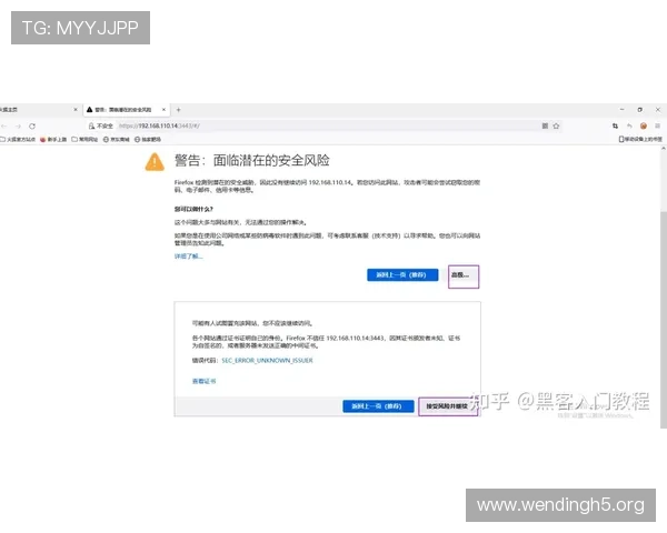 问鼎登录地址安全登录指南保障账号安全的详细操作步骤